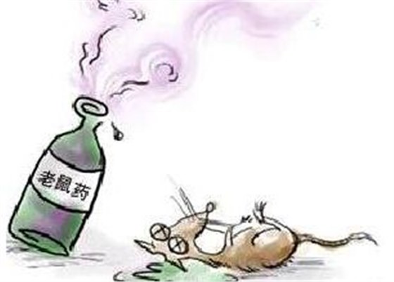 景隆物理捕鼠器廠家