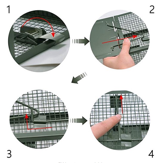 捕鼠籠安裝